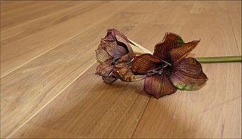 Massivholzdielen Eiche einfach zu verlegen